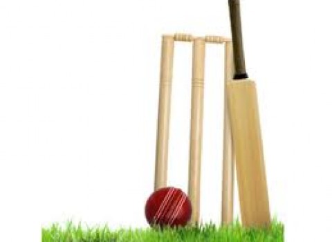 Cricket-Competition