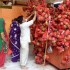 Lakkhi-Fair2