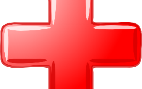Government-hospital
