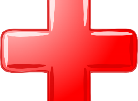 Government-hospital