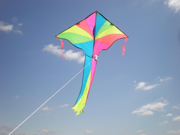 Kite-Competition