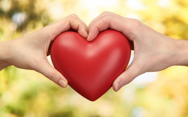 Cardiac medical camp